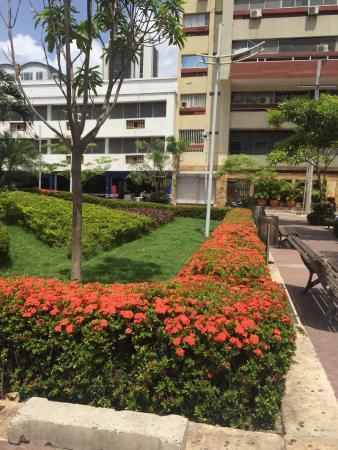 Plazoleta de Benkos Bioho